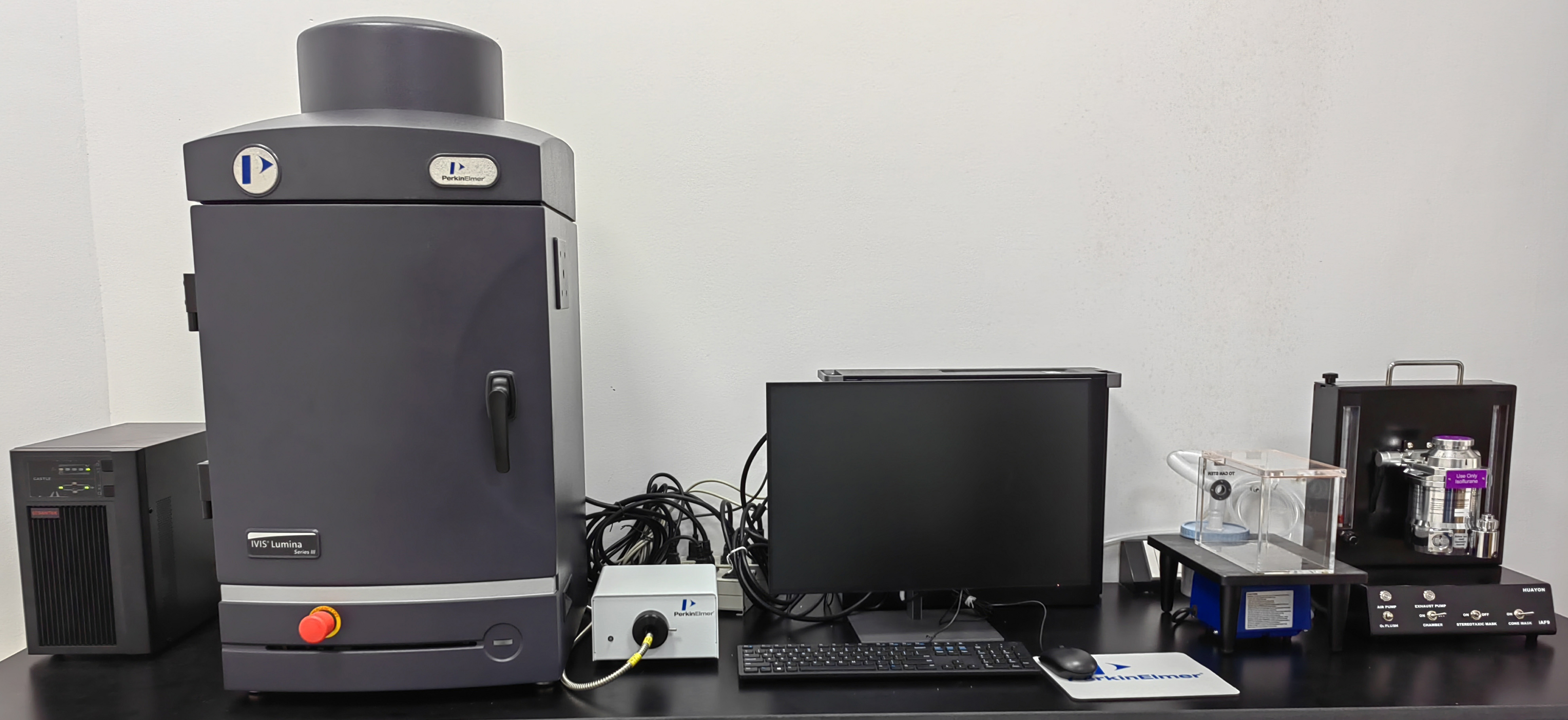 小动物活体成像系统IVIS Lumina III.jpg